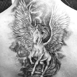 329526451_902639984381144_4975531661228658461_n_edited_edited