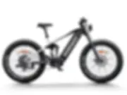 D7 Pro / Softail Electric Mountain Bike
