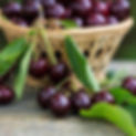 Bing_Cherry_in basket.jpg