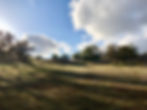 This is a photo of a beautiful green pasture with hills, trees, and a cloudy blue sky.