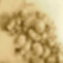 P9040246