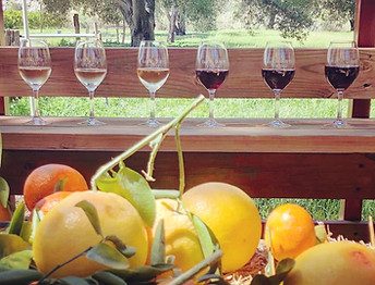 Wine Glasses and citrus