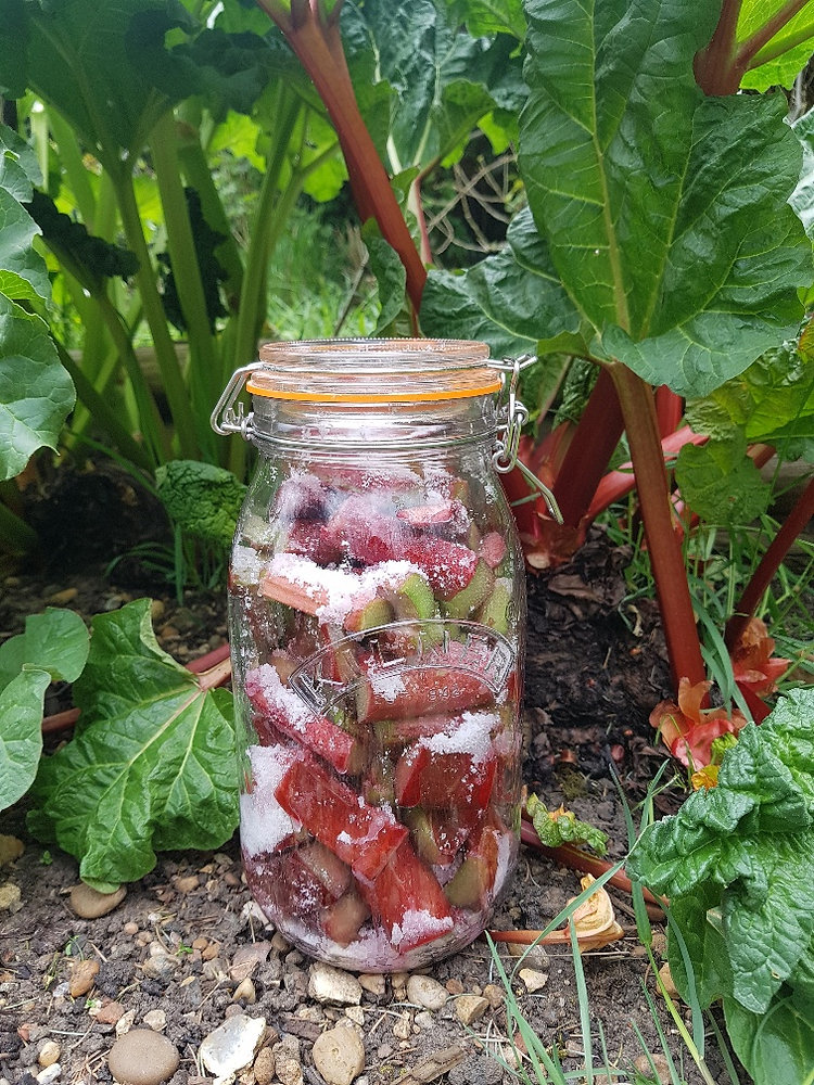 Rhubarb and Ginger Gin