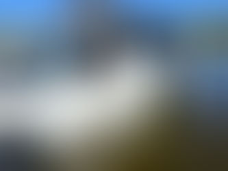 Eine Fähre, ein Fluss und zwei Menschen, die aus Fehlern anscheinend nicht lernen – und dafür bezahlen müssen