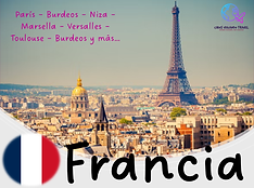 Francia CVT