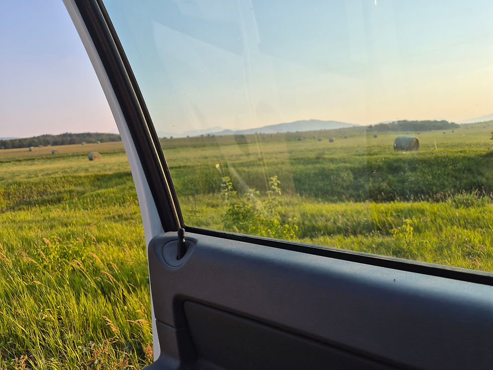 View of an acreage through a car door left a jar and the car door window.