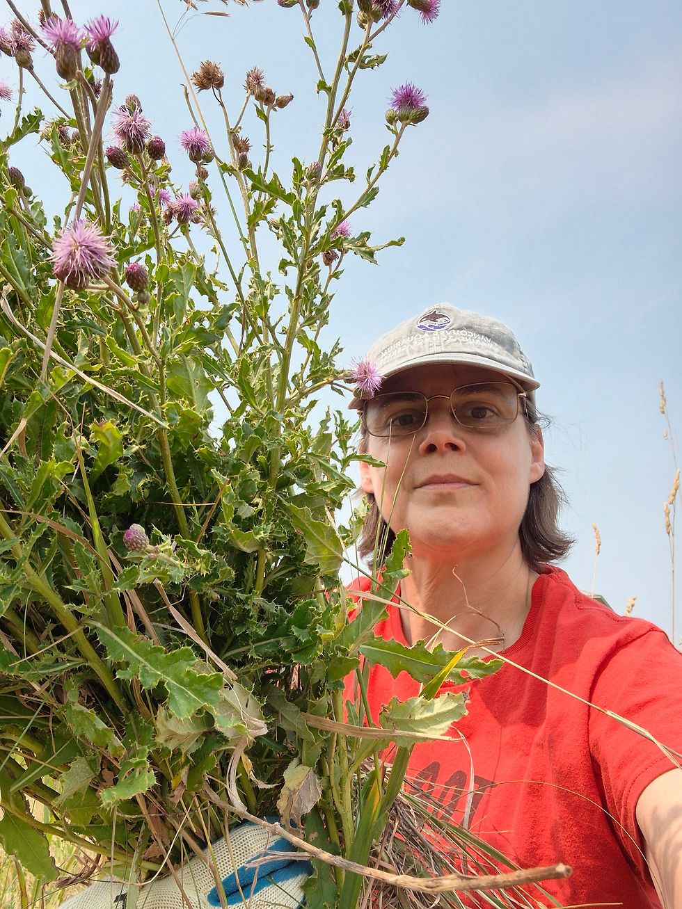 Woman holding pulled thistles in front of camera.