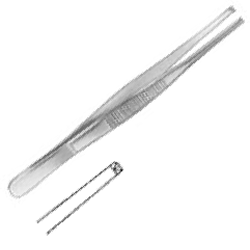 Disección Pinza
