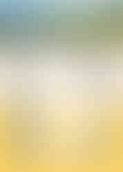 G-Mosa Fresh Strain Verified playing card front and back with all the details of this new cannabis strain.