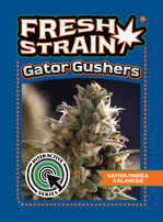 Front and Back of Fresh Strain Verified Genetics Trading Cards for the Gator Gushers Cultivar including pertinent information and details about breeder, lineage, growing region, flavor profile, dominant terpenes, and more.
