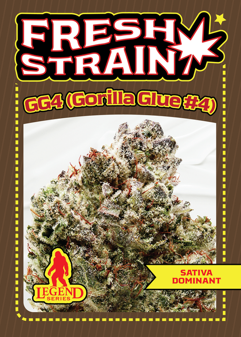 Front/Back of Fresh Strain Verified Genetics Trading Cards for the Gorilla Glue #4 aka GG4 Cultivar including stats and details about lineage, growing region and more.