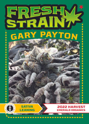 Gary Payton: Fresh Strain Verified Genetics Ultimate Guide