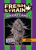 Front and Back of Fresh Strain Verified Genetics Trading Cards for the Jokerz Candy Cultivar including pertinent information and details about breeder, lineage, growing region, flavor profile, dominant terpenes, and more.