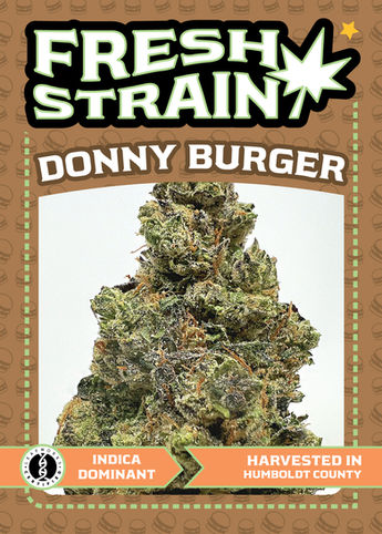 The Ultimate guide to Donny Burger one of the latest cannabis strains to be verified by Leafworks and carried by Fresh Strain Verified...