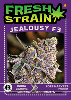 Front/Back of Fresh Strain Verified Genetics Trading Cards for the Jealousy F3 Cultivar including stats and details about growing region and more.