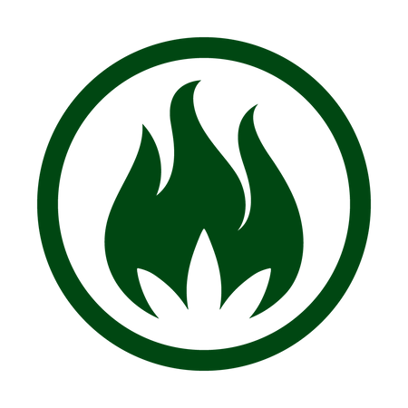 CF2024_FLAMELogo_wCIRCLE_TB_G_SMALL.png