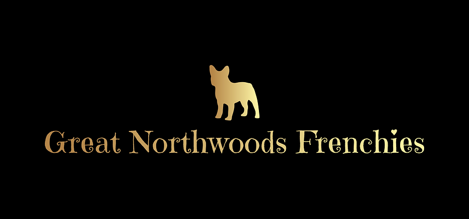 color_logo.png