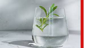 Rosemary Water Recipe