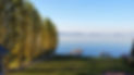 dji_fly_20221013_174258_304_1665704584697_photo_optimized.JPG