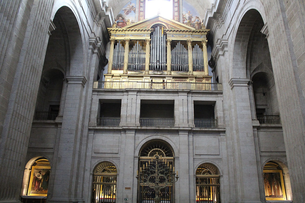 IMG_5371.JPG