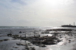 IMG_9792.JPG