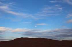 IMG_7124.JPG