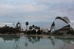 IMG_5981.JPG