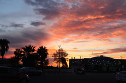 IMG_6029.JPG