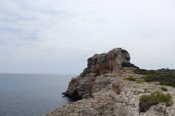 IMG_0837.JPG