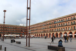 IMG_8328.JPG