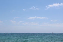 IMG_1055.JPG