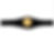 Thumbnail: AAA Mega Champion Replica Title Belt