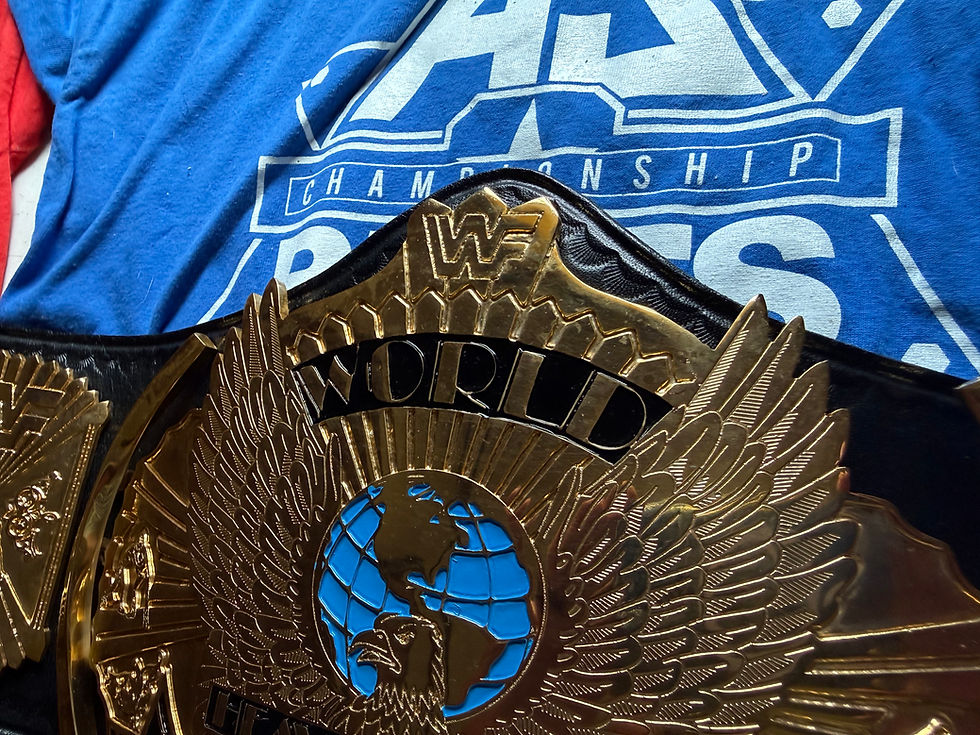 Thumbnail: WWF Winged Eagle Heavyweight Championship