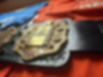Thumbnail: IWGP V4 Heavyweight Championship Title