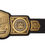 Thumbnail: WWE Tag Team Championship Replica Title Belt (2024)