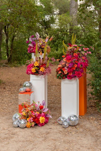 Cérémonie Laïque -photographie mariage - Domaine de la Grangette