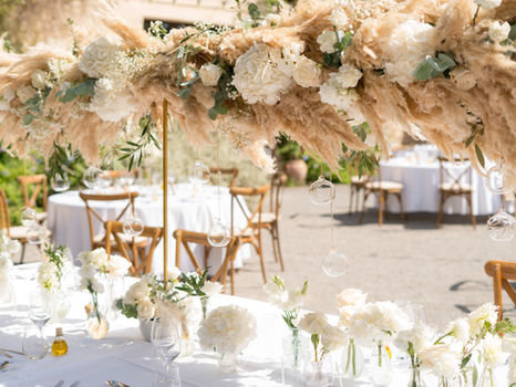 Photographe Montpellier