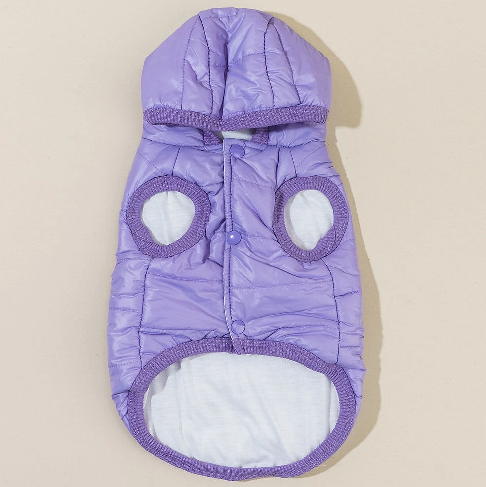 Miniatura: Fresh Jacket (Purple)
