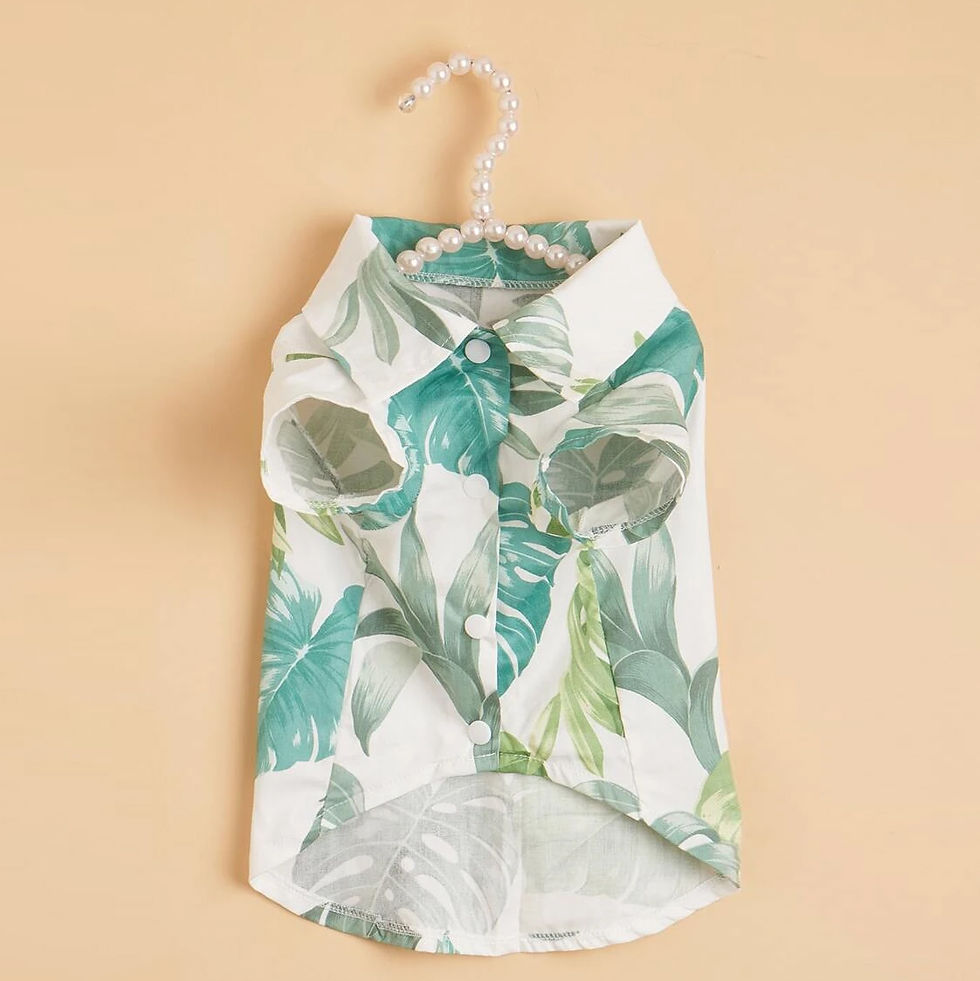 Miniatura: Camisa Estampada