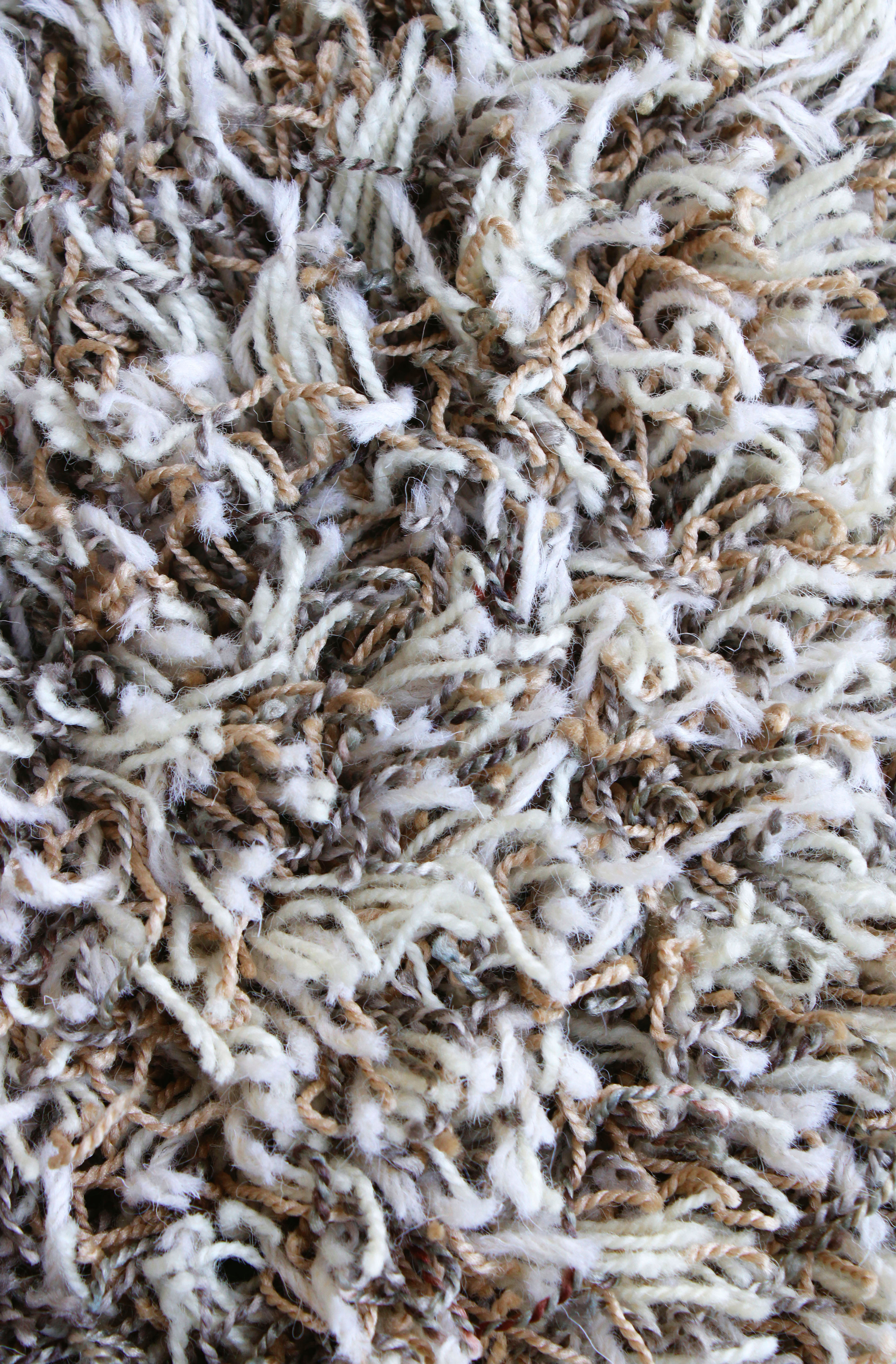 9455 Biscuit and Honey Shag Carpet 12x16