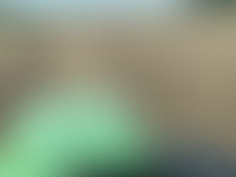 Preparing the seedbed