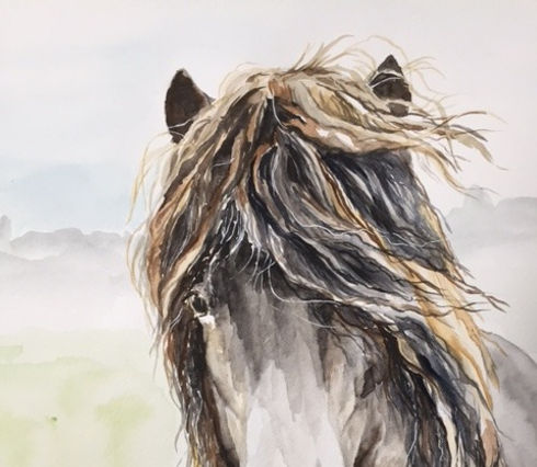 Horse - Upland Pony _edited.jpg