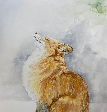 Baby fox_edited.jpg