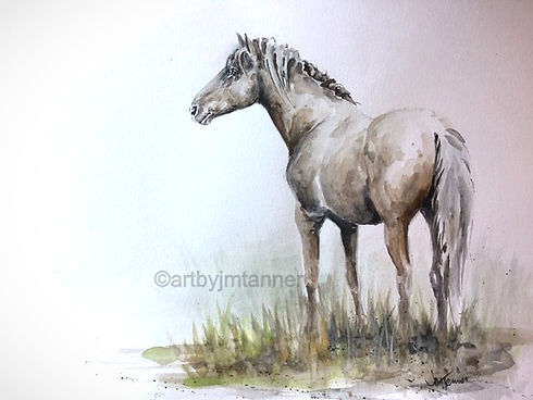 horse%25201_edited_edited.jpg