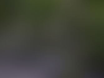 La lucha entre la carne y el cristiano