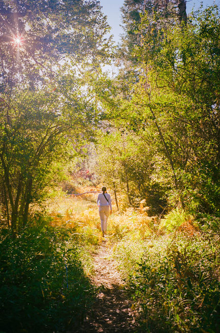 Narnia