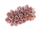 果物2.png