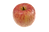 果物5.png