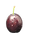 果物3.png