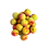 果物4.png
